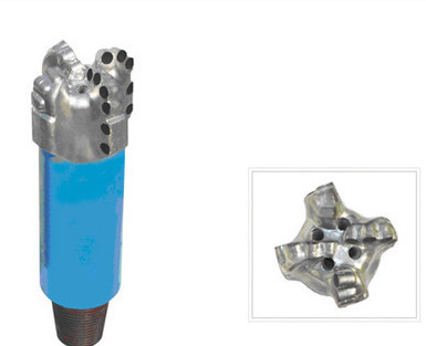 Peu de perceuse d'huile d'ODM PDC d'OEM, peu de perceuse de 500mm pour l'huile et industrie du gaz